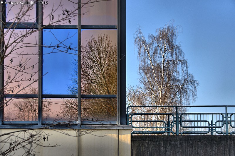 Das blaue Fenster - Bernhard Saalfeld
